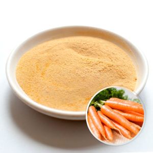 Fresh Carrot Powder